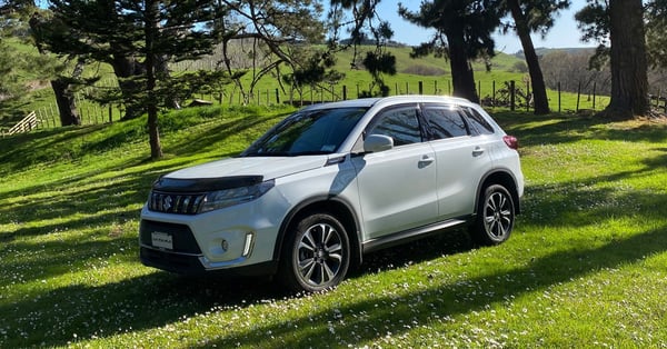 Michael Steer and his Vitara